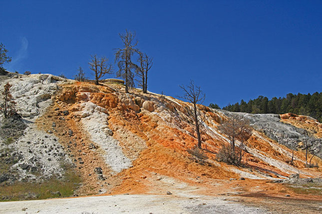 „MEGKÖVÜLT VÍZESÉS” — A Yellowstone-kaldera peremén HOL TÖRHET KI? kialakult Mamut-hőforrás travertinóteraszai. Évezredek alatt a feltörő karbonátos forró vizekből vastag, gumós kalcium-karbonátos kőzettestek váltak ki