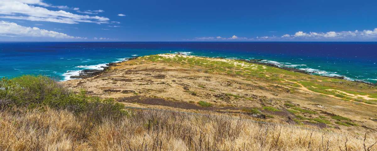A Kaena Point dűnés félszigete a tengeri madarak otthona – A strandok miatt a Hawaiira jellemző dűnevegetáció szinte teljesen eltűnt a nagy szigetekről. Oahu legnyugatibb sarkán azonban még megtalálható ennek az egyedülálló ökoszisztémának egyik utolsó képviselője a Kaena Point védett területén Fotó: Ruff Gábor