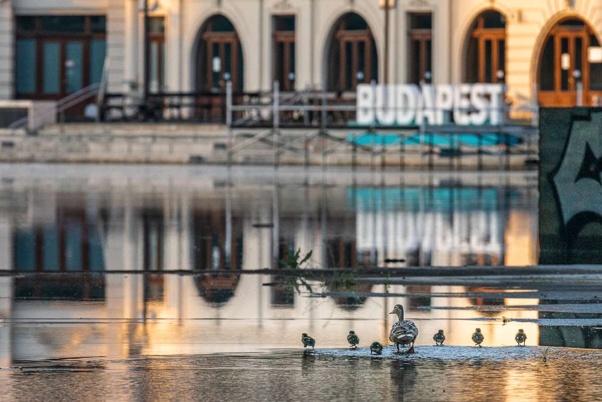 Fotó: Aliczki Manó