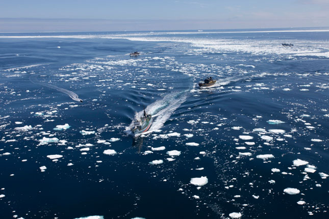 Bálnavadász flotta menekül a Sea Shepherd elől
